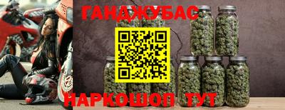 прущие грибы Пыть-Ях