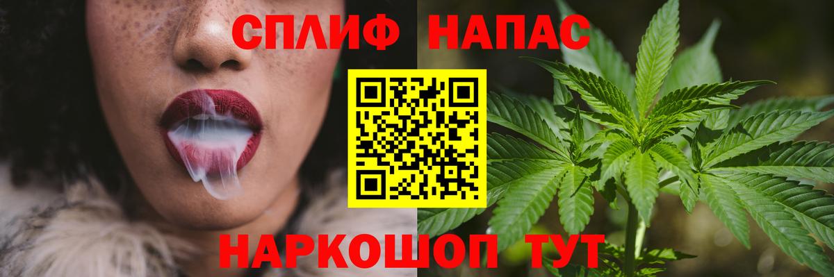 Конопля семена  МАРИХУАНА Bruce Banner  Нововоронеж  Вход с VPN  Конопля ГИДРОПОН 
